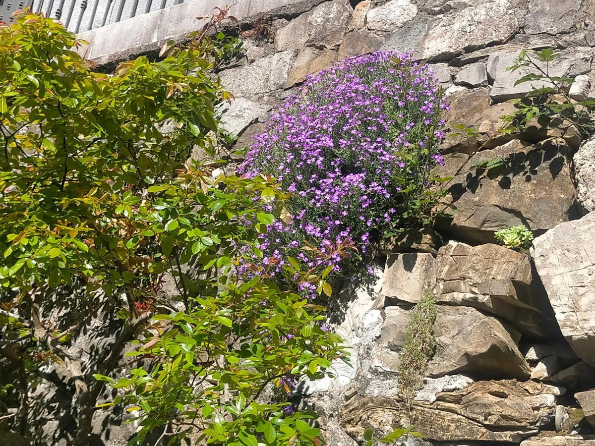 فيلا Torre Del Grifone Nel Medioevo Di Cividale Del Friuli Faedis المظهر الخارجي الصورة