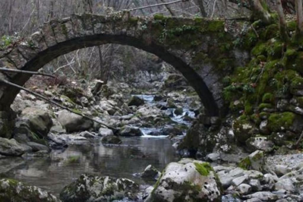 فيلا Torre Del Grifone Nel Medioevo Di Cividale Del Friuli Faedis المظهر الخارجي الصورة